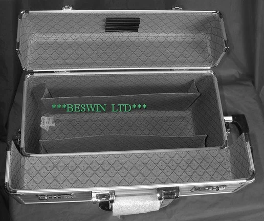 Pilot case — view 2